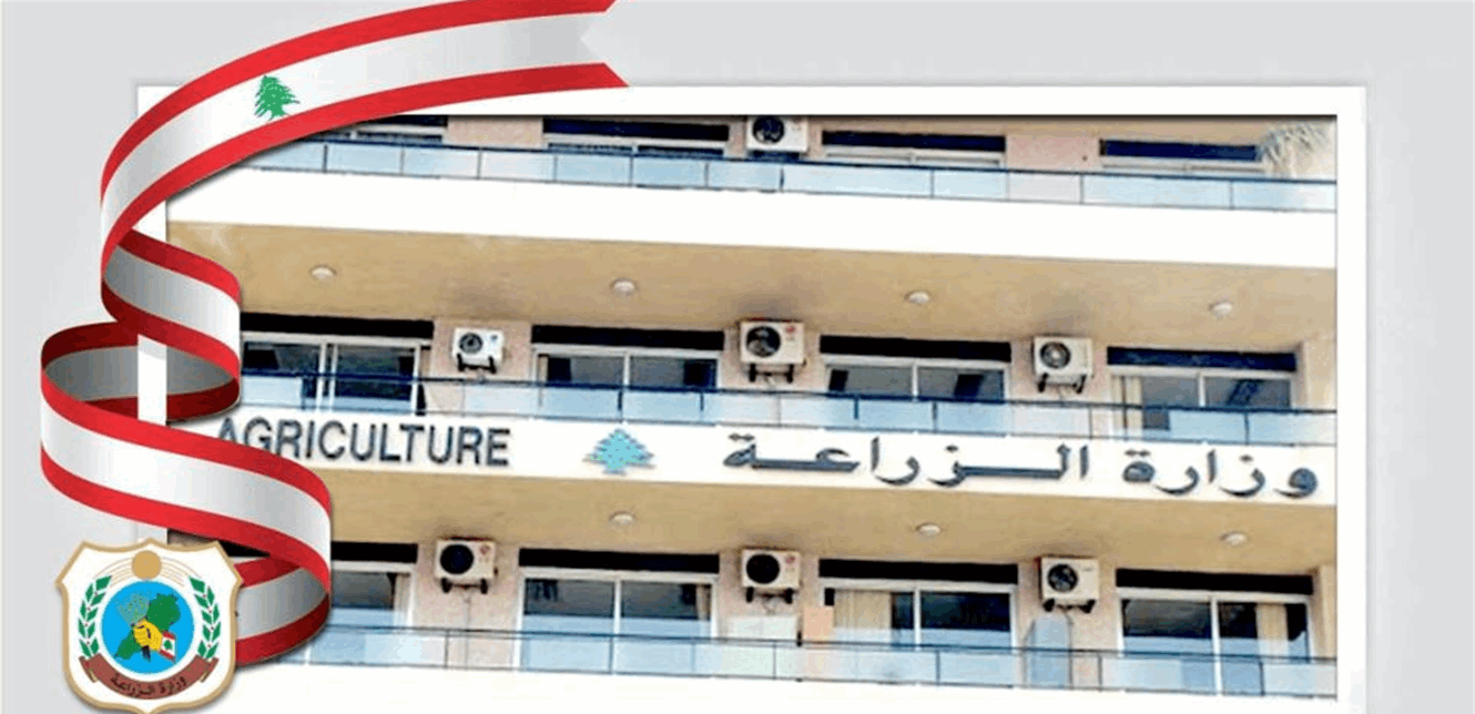 صورة الخبر