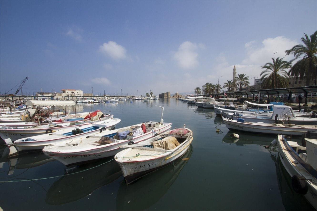 صورة الخبر