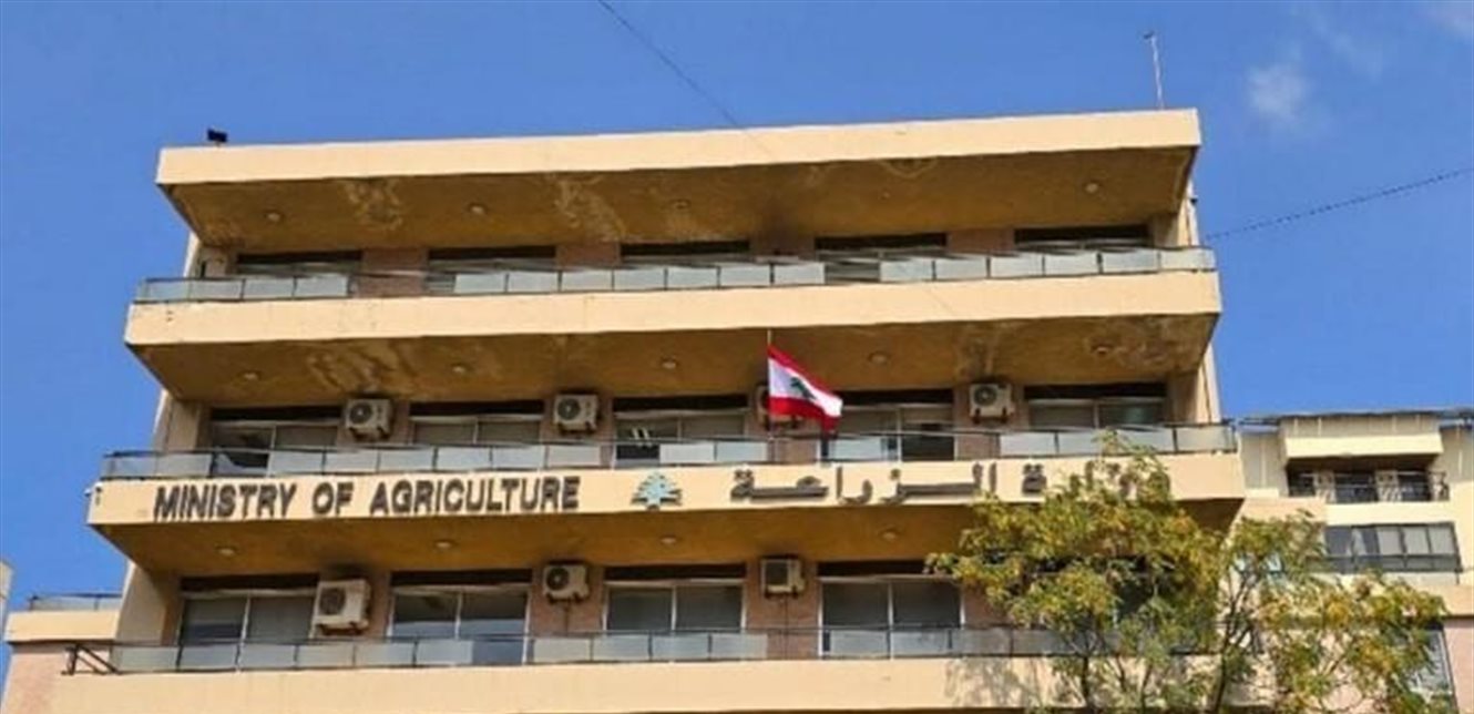 صورة الخبر