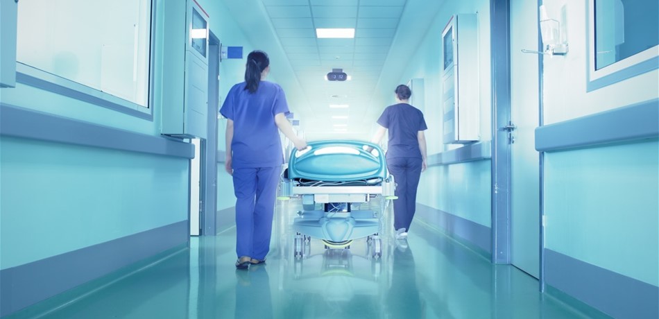 Doc-P-324166-6367055498897857531280x960.jpg