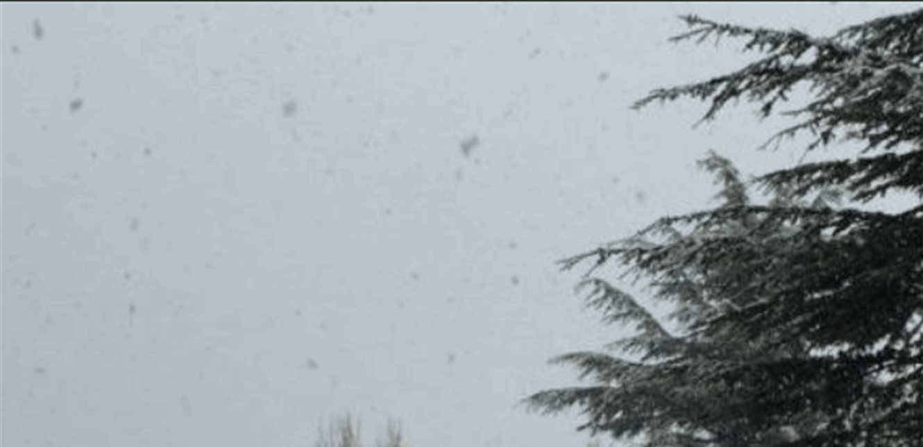 بدء تساقط الثلوج في الأرز صورة