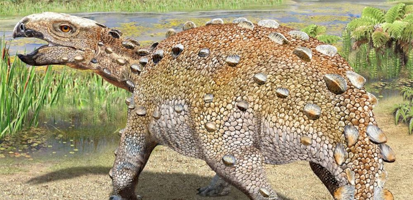 For the first time… a dinosaur was found on the day of the asteroid fall