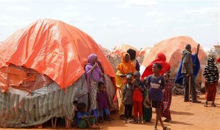بسبب أزمات المناخ... 27 مليون طفل عانوا من الجوع العام الماضي 