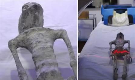 &quot;لسنا وحدنا في الكون&quot;.. هذا ما كشفه الحمض النووي لكائنات المكسيك الغريبة