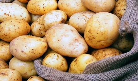 باخرة تحمل البطاطا المصريّة وصلت إلى لبنان... ماذا تبيّن بعد الكشف عليها؟