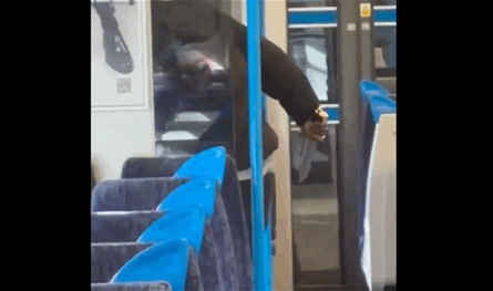 عملية طعن على متن قطار في لندن والركاب يتفرّجون (فيديو)
