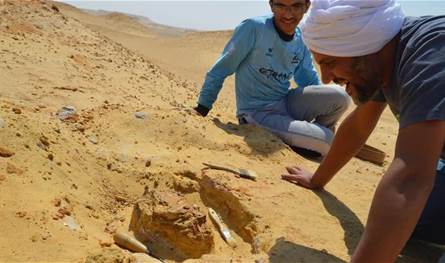 اكتشاف حيوان مفترس لم يسبق له مثيل في مصر