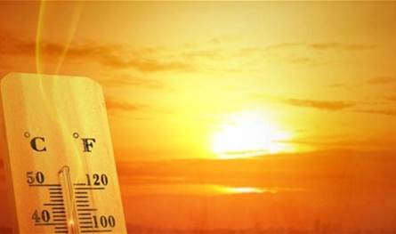 وزير الزراعة أطلق سلسلة مبادرات لتعزيز الإرشاد الزراعي والتعاون الدولي