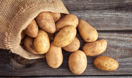 الاوضاع عند الحدود مع سوريا بين الرئيس عون والخطيب