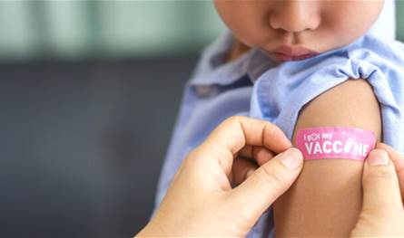 فيديو يوثق عمليات السرقة التي حصلت في حوش السيد علي