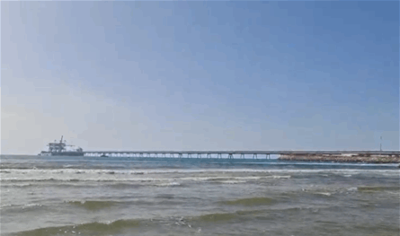 عُثر على معداته فقط... سمكة قرش تهاجم غواصًا إسرائيليًا في أحد شواطئ حيفا (فيديو)