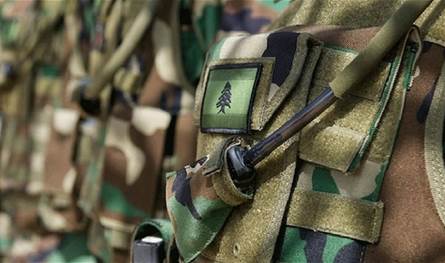 في الشراونة... الجيش ينفذ عملية دهم ويوقف 23 شخصًا 