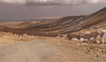 في منطقة لبنانية.. العثور على مقبرة جماعية والأجهزة الأمنية تتحرك