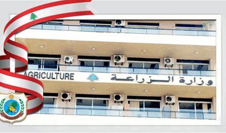 بيان من وزارة الزراعة.. هذا ما جاء فيه