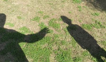 نائب يُفجّر مفاجأة.. رجل تحرش بـ40 قاصراً وصوّرهم