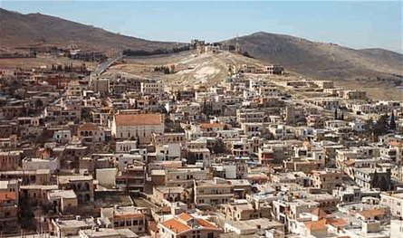  في الفاكهة.. إشكال يشتعل بين مرشحين