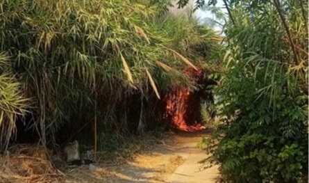 في طرابلس.. اندلاع حريق كبير في الأعشاب يتسبب بحالة من الذعر بين السكان