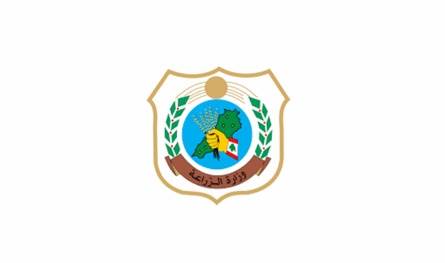 بعد وجود جثة على شاطئ الرملة البيضاء نهشتها كلاب شاردة... وزارة الزراعة تتحرّك