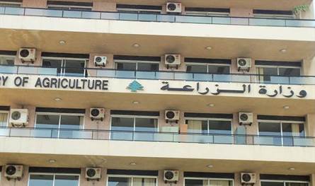 إنتخابات اتحاد بلديات المتن: تقييم واتهامات