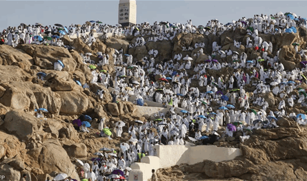 في بيان رسمي... هذا ما كُشف عن الوضع الصحي والأوبئة بين الحجاج