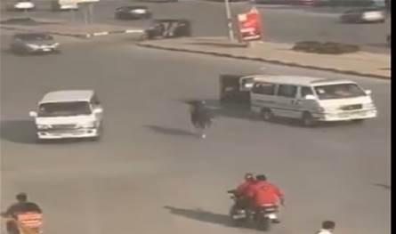 بالفيديو... عجل هارب يثير الذعر بين السيارات!
