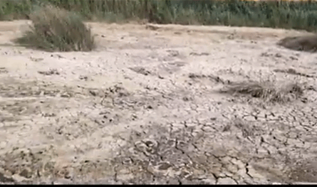 بالفيديو.. الجفاف يسيطر على نبع في لبنان ويكشف حجم الأزمة