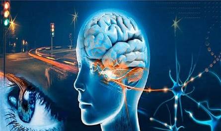 كيف يؤثر الذكاء الاصطناعي على الإبداع والذاكرة؟
