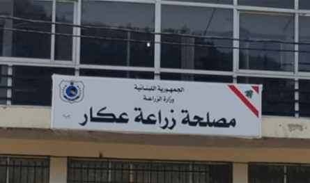 مصلحة زراعة عكار حذرت من قطع الأشجار وبيع الحطب