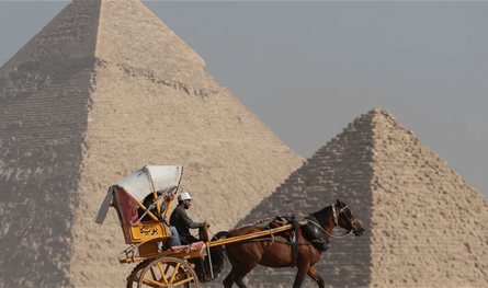 مصر تستقبل 8.7 مليون سائح 