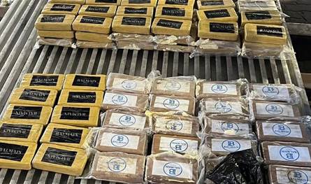 داخل شحنة موز.. ضبط مخدرات قيمتها 153 مليون دولار!