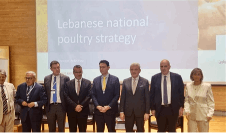 مؤتمر لإطلاق الاستراتيجية الوطنية لقطاع الدواجن: دعوات لحمايته وتحويله إلى رافعة اقتصادية