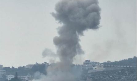 بالفيديو... هذه حقيقة ما حصل في الناعمة