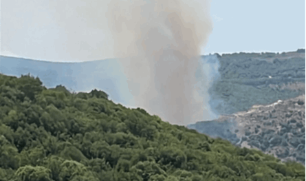 غارة إسرائيلية تشعل حريقاً واسعاً في أحراج بيت ليف