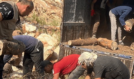 جريمة بيئية في أحد الأحراج.. ماذا ضبطت وزارة الزراعة؟