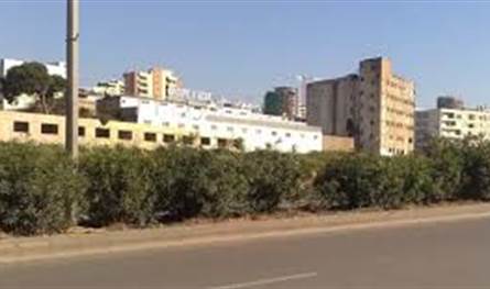 نهاية رحلة الترويج على كورنيش النهر.. هذا ما كشفته قوى الأمن الداخلي 