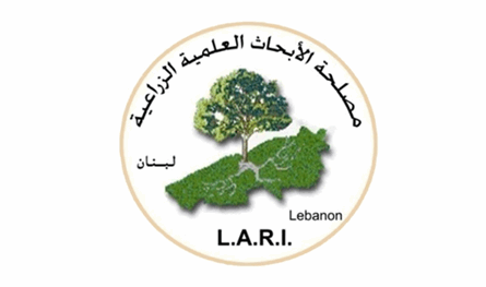 مصلحة الأبحاث الزراعية تحذر من أمطار رعدية وسيول محتملة اليوم