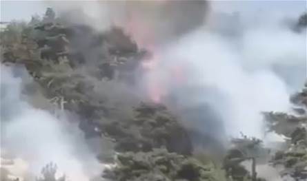 بالفيديو... حريق كبير في غابات القموعة