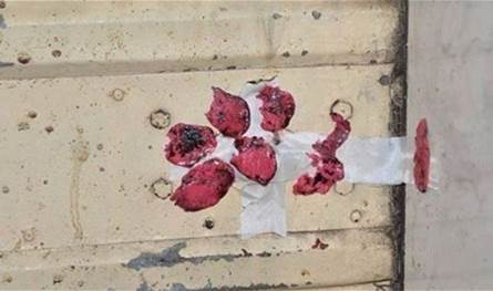 في هذه المنطقة… إقفال صيدليتين بيطريتين بالشمع الأحمر