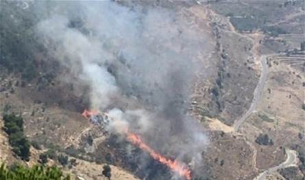 قضى على اشجار حرشية.. حريق كبير بين جزين ونيحا 
