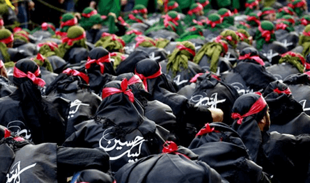 هل يطالب الشيعة بتغيير النظام؟