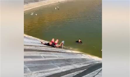 بالفيديو... إنقاذ ثعلب احتُجز في بركة زراعية
