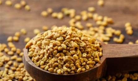 بذور الحلبة.. علاج طبيعي يدعم مرضى السكري