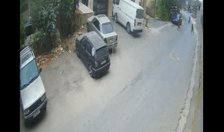 حادثة مروّعة في بلدة لبنانية.. &quot;كلب&quot; يهاجم سيدة حامل!