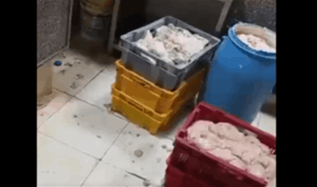 فيديو لـ&quot;دجاج فاسد&quot; في متجر لبنانيّ.. شاهدوه!