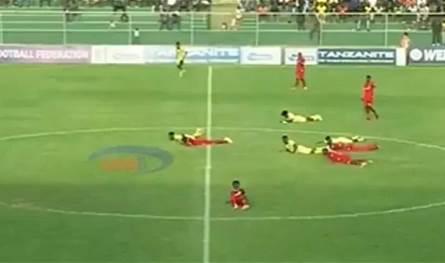 بالفيديو.. سرب نحل يوقف مباراة كرة قدم