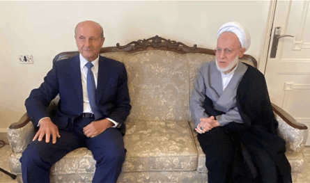 المفتي صادق يستقبل مروان شربل لمناقشة أوضاع النبطية