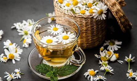 تحسّن النوم وتخفض ضغط الدم.. فوائد رائعة لعشبة البابونج
