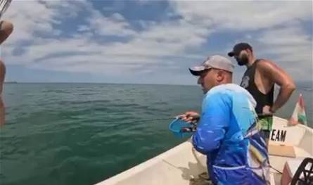 في بحر لبنان... فيديو لسمكة نادرة جدّاً هذا إسمها