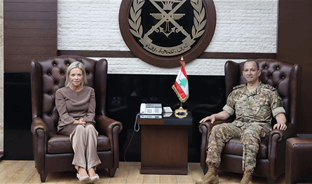 في اليرزة.. لقاء هيكل ومنسقة الأمم المتحدة