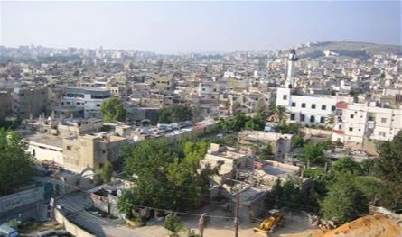 آخر خبر.. الجيش يتسلم أسلحة من عين الحلوة!
